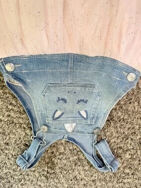 OshKosh B'gosh Light Blue Denim Overalls